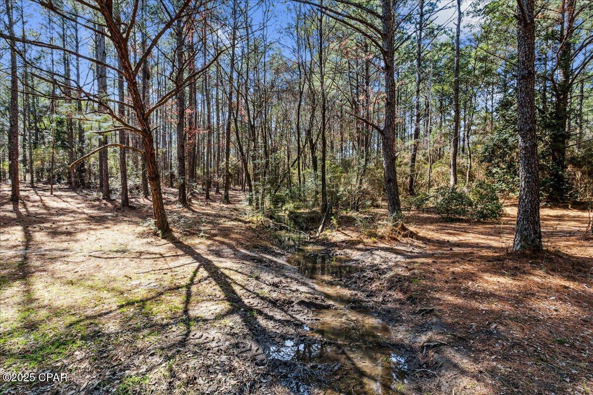 Image 86 For 1471 Hwy C 180