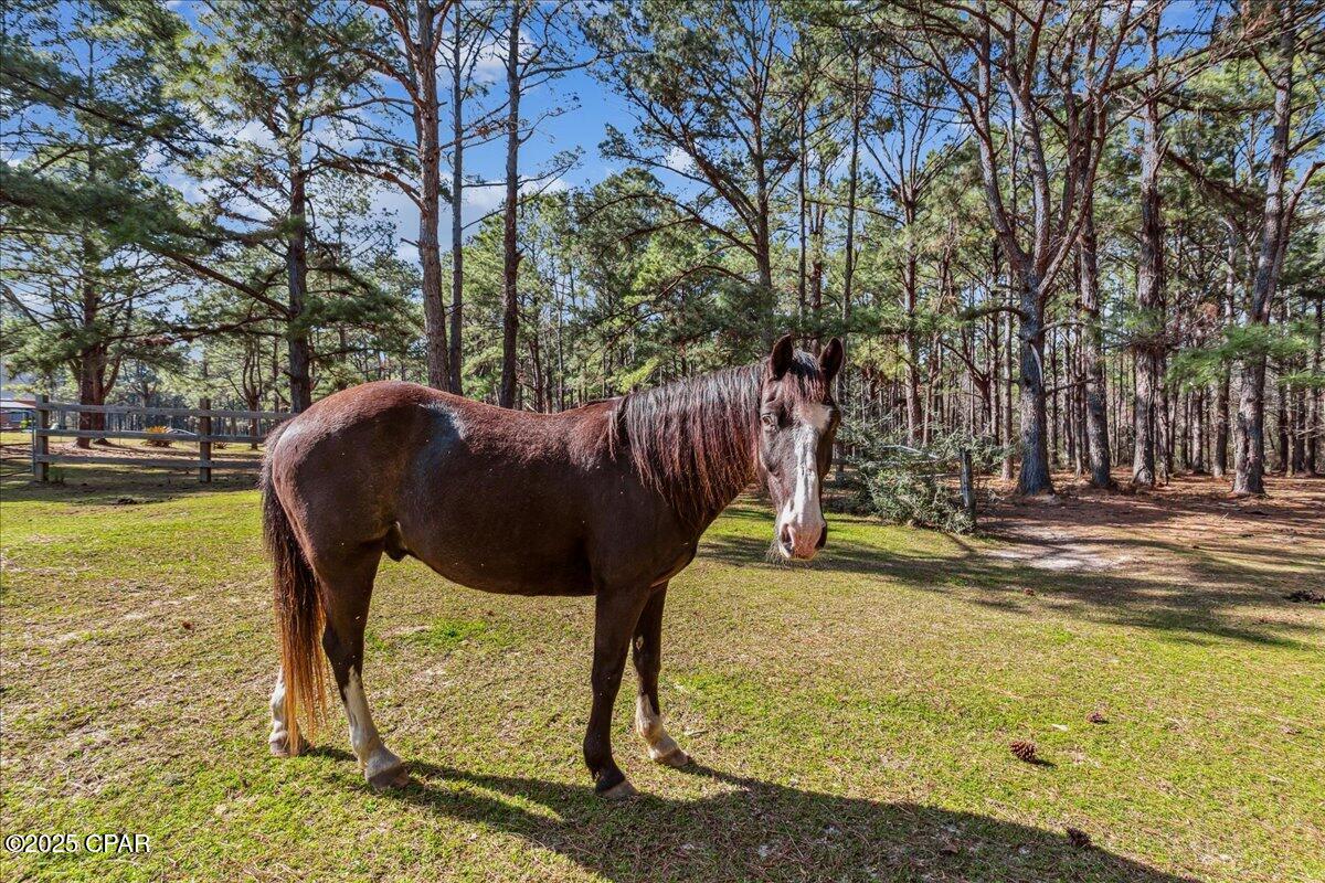 Image 89 For 1471 Hwy C 180