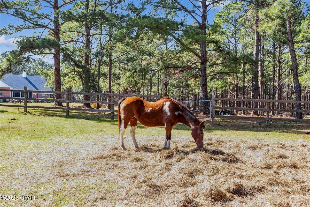 Image 90 For 1471 Hwy C 180