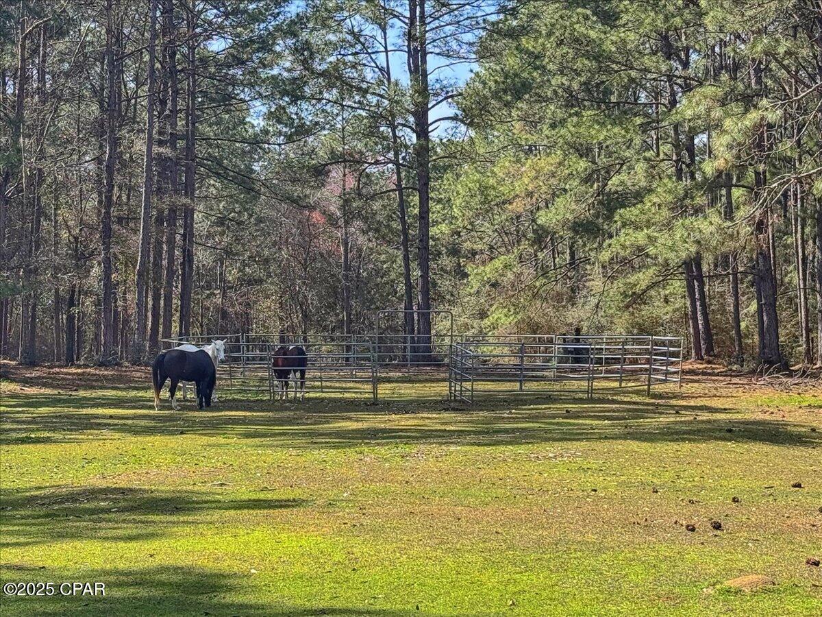 Image 92 For 1471 Hwy C 180