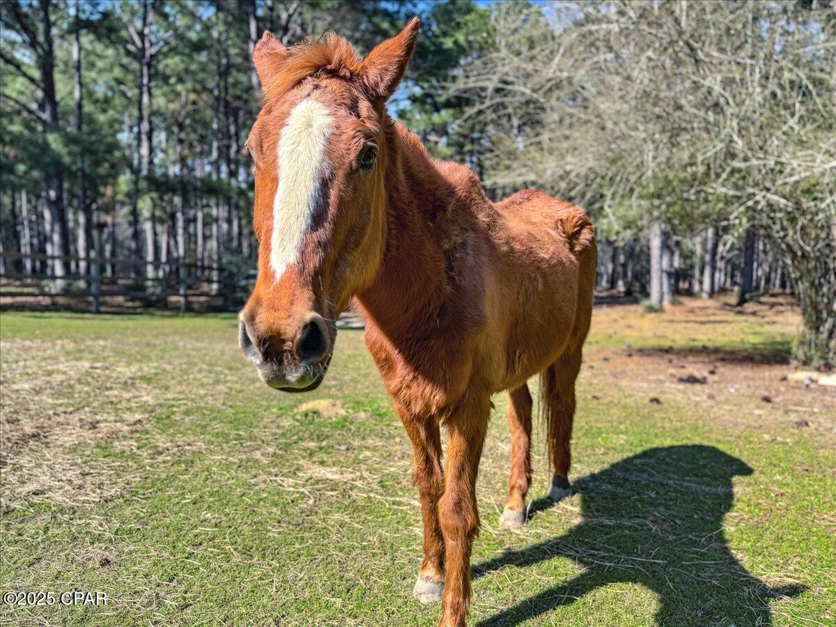 Image 95 For 1471 Hwy C 180