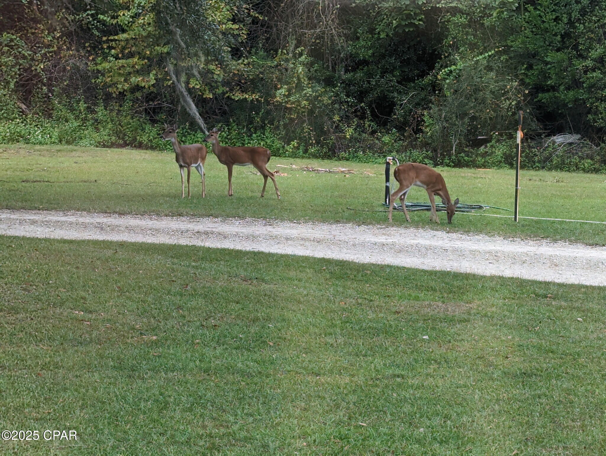 4kb0horosgps4ykxxgvyisnqfkzy8zuvar3pvo4eo E