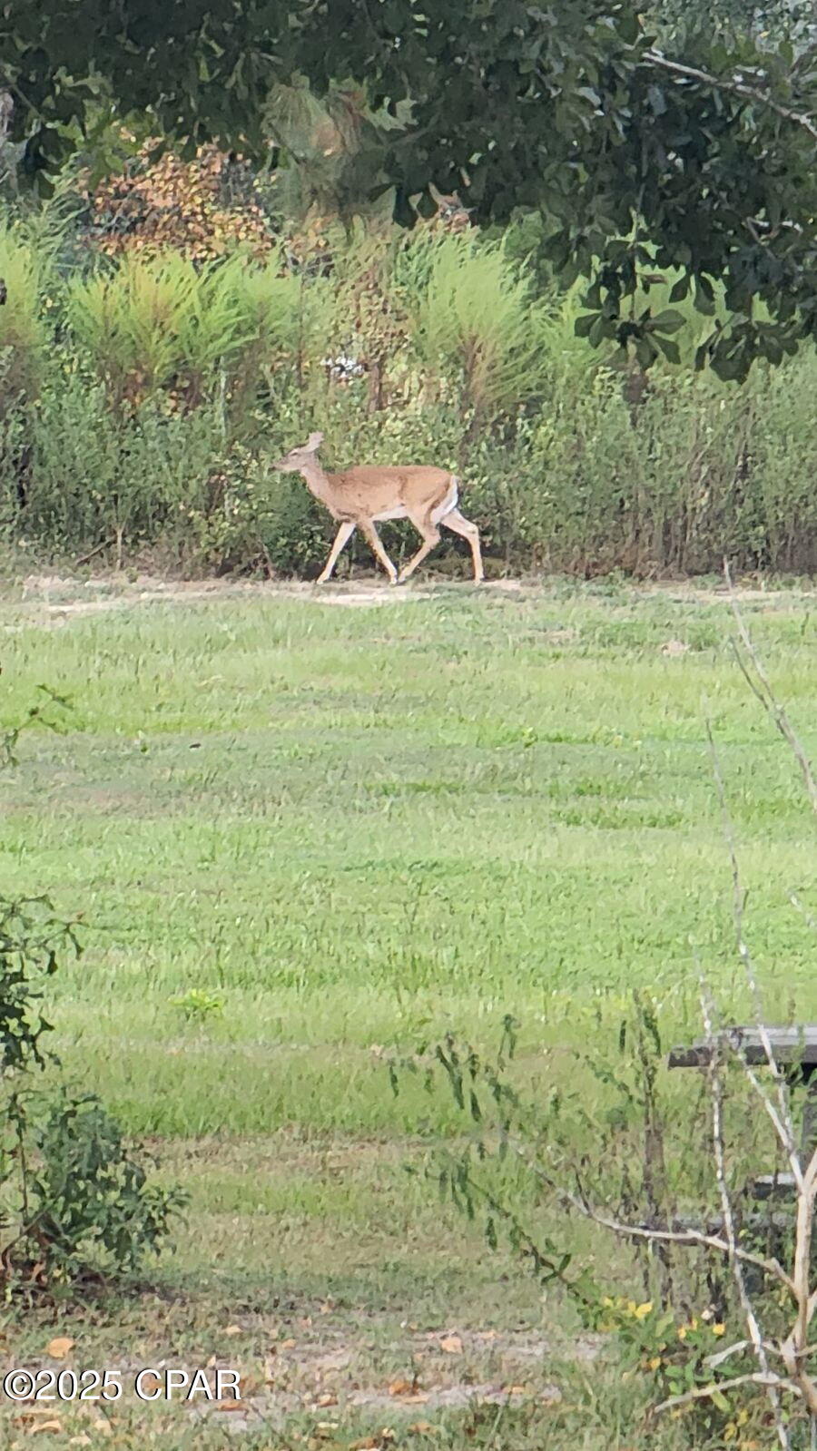 J9dpluubavzt Nodlyda9fd_zzq5md0wquerihue8k8