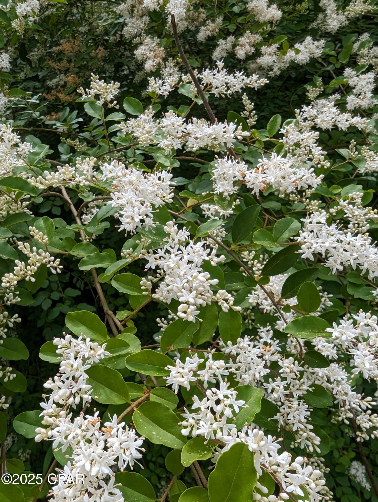 2mrfrnfg_rjjjdzioaw5unfnkjtsjtppu6bqh93ea6y