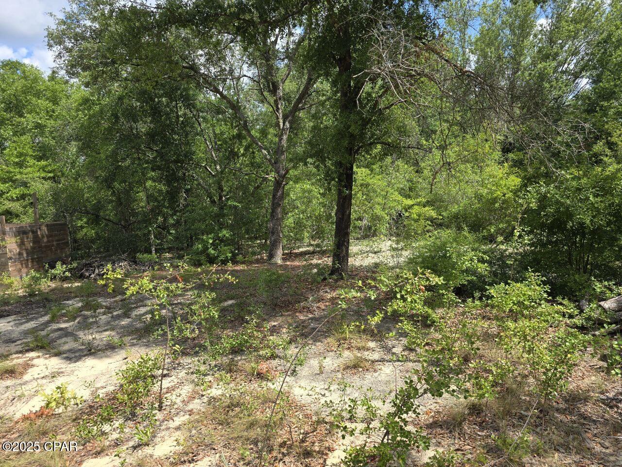 Image 3 For Lot 7 Caldwell Place