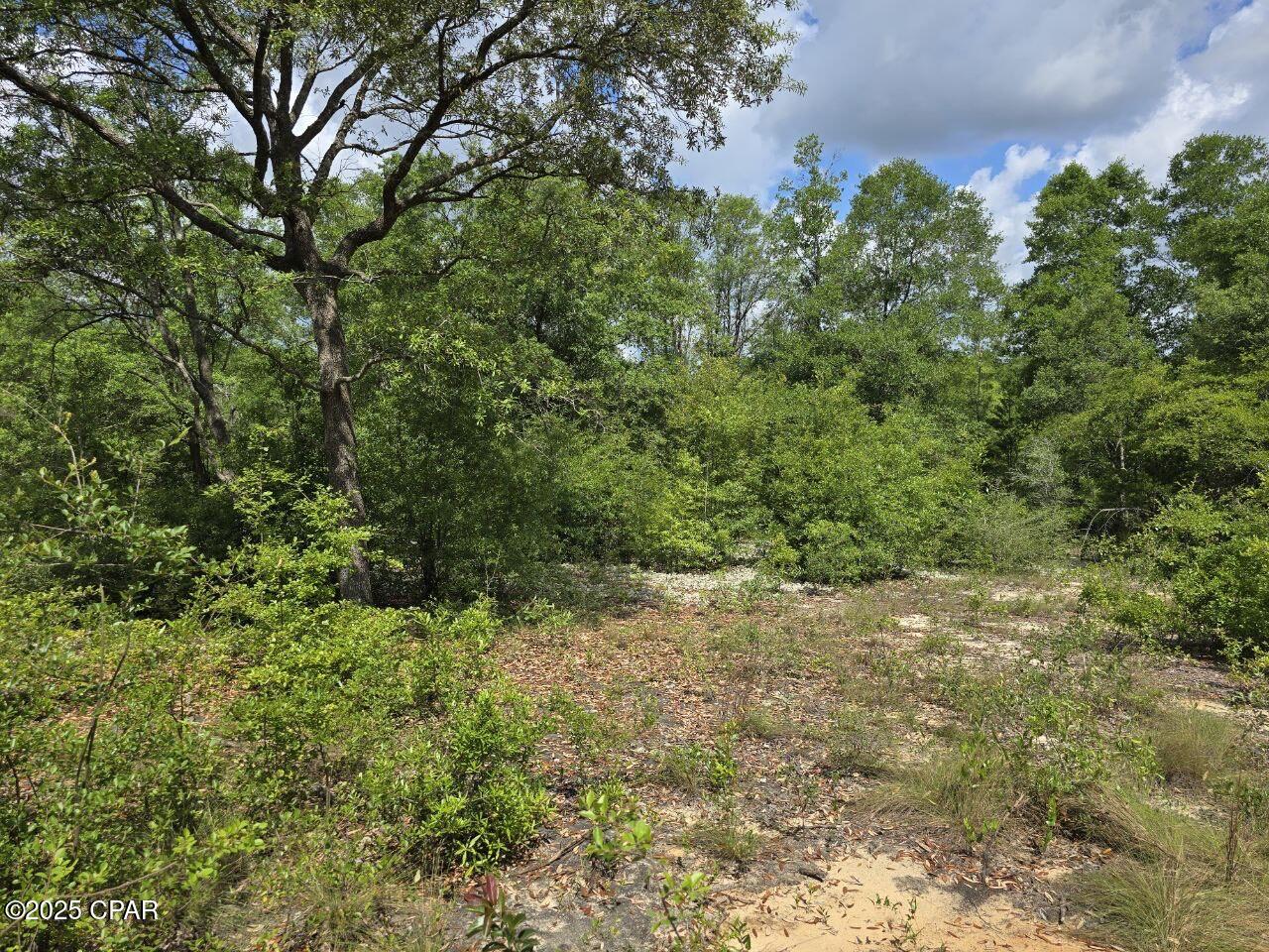 Image 6 For Lot 7 Caldwell Place