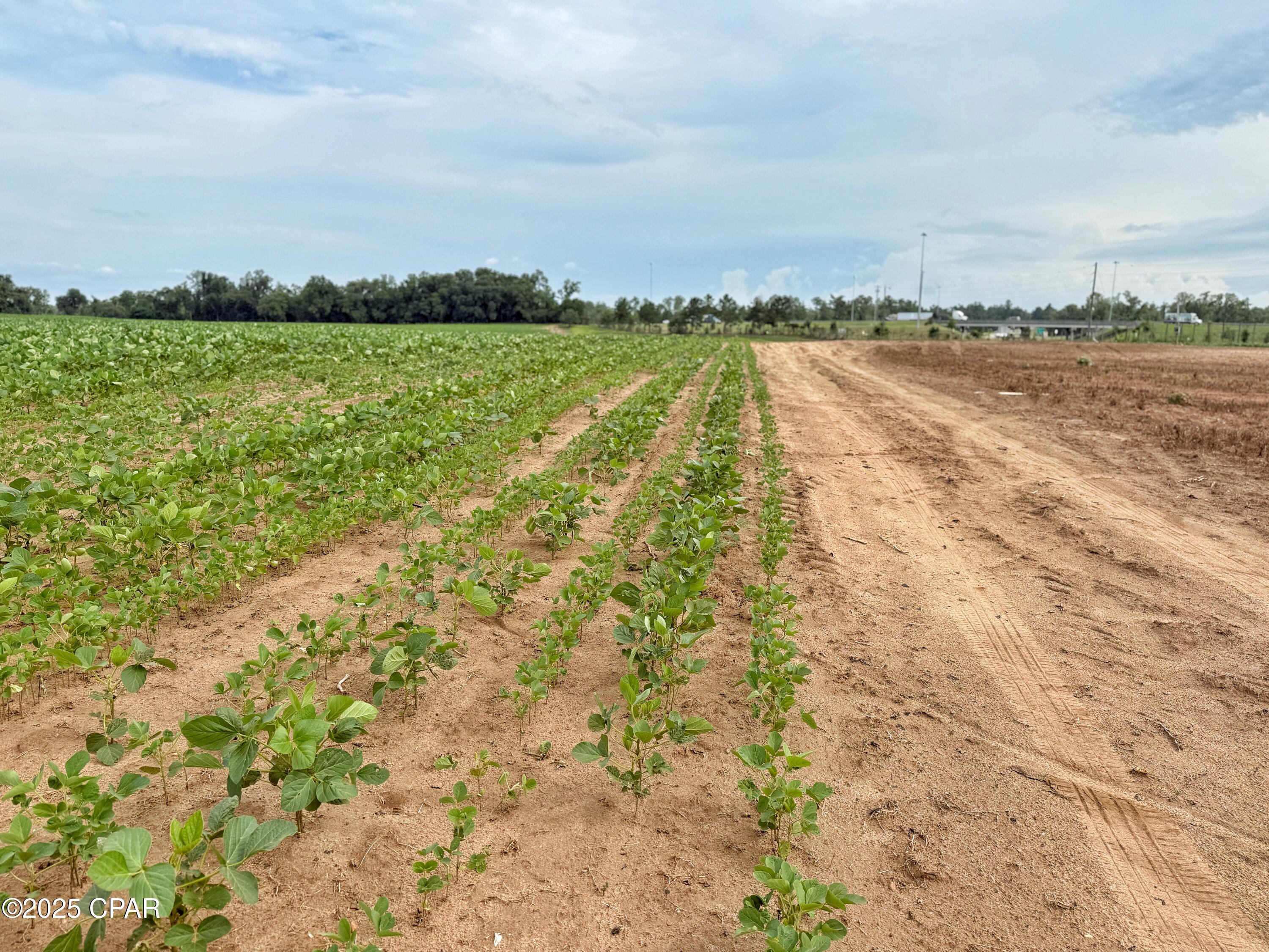 5q5yoczbz6gdkkllv0gzrxud9_afshz7v_eovrxdyd4