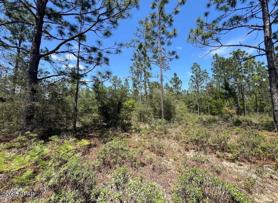 Lwulaja2rp8jjb51lwnpyzpk Q7av3zprwrf_gfxmxw