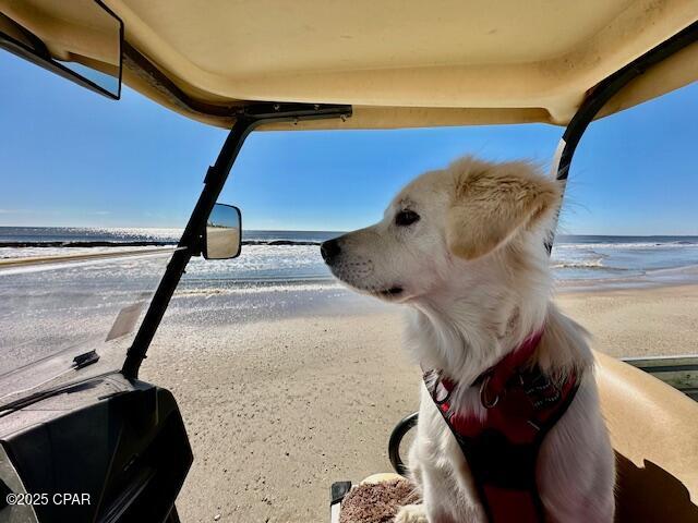 5_yjmoobmzxnep_7szb2yjcdwhaje0rfcnycgt8ktmu