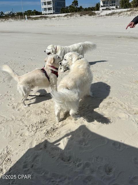 Image 74 For 136 Oak Street