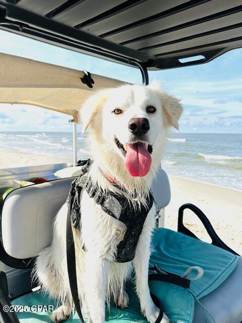 Image 74 For 136 Oak Street