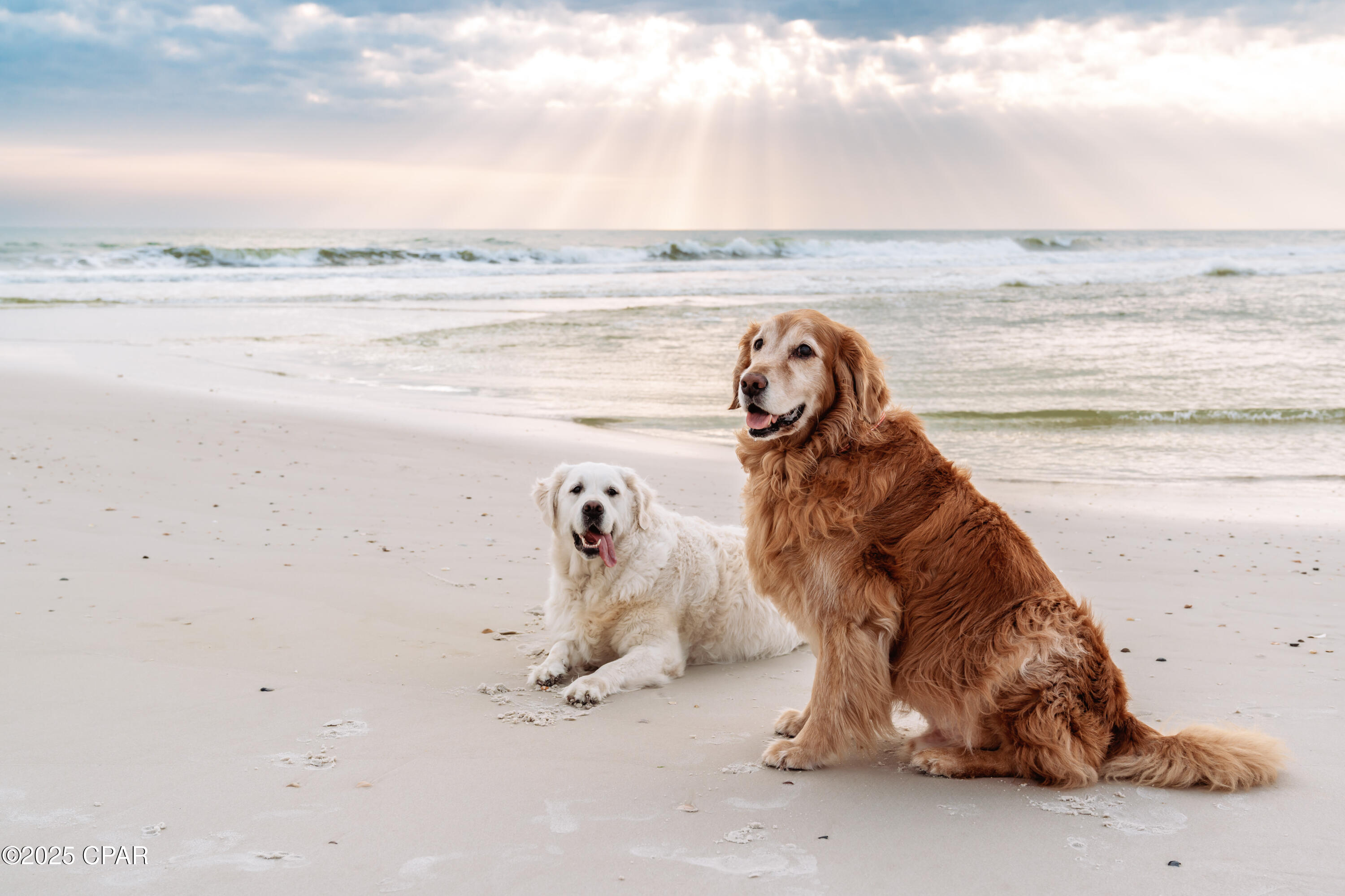 Image 76 For 136 Oak Street