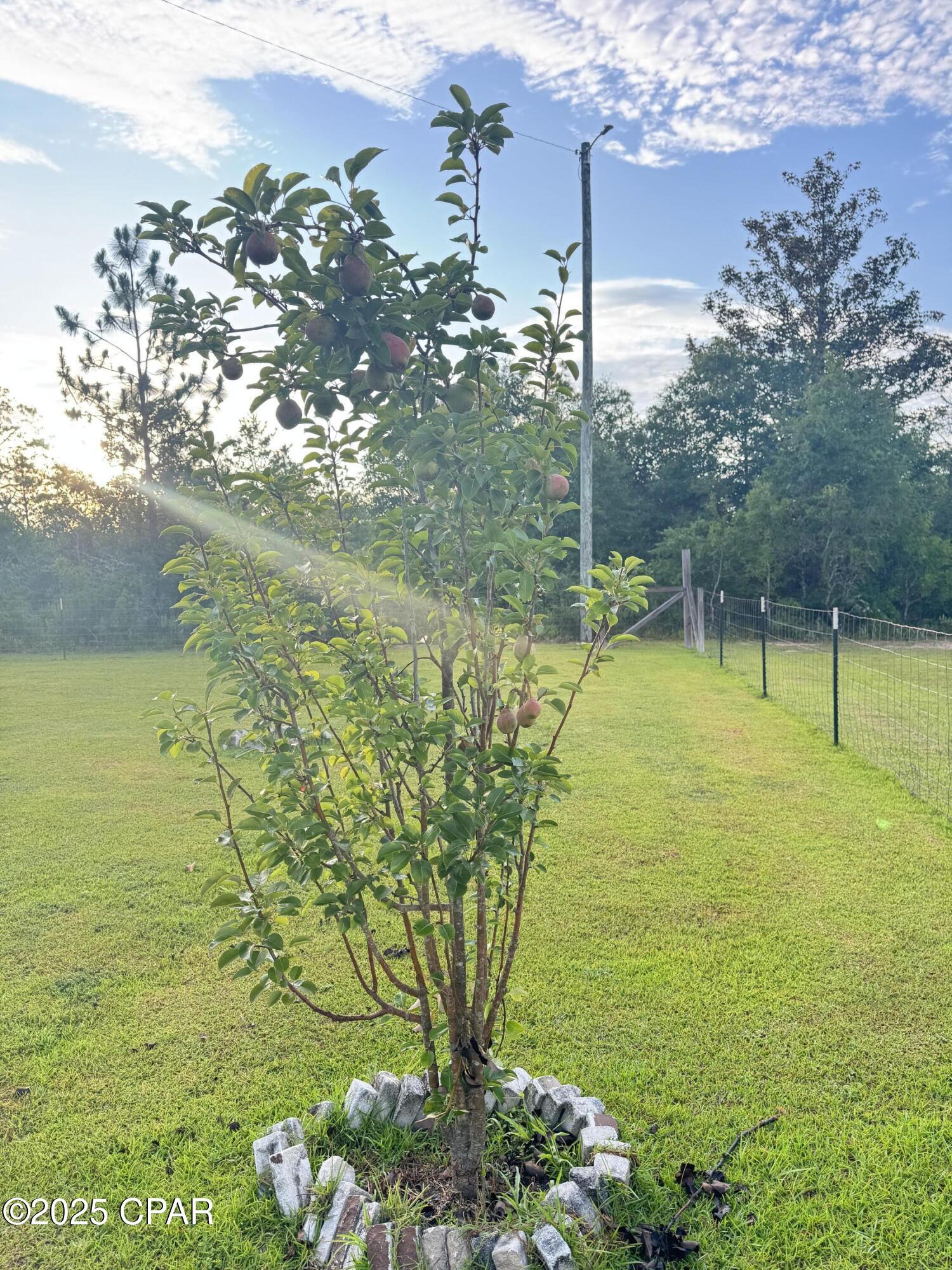 Bbezzydyu9pkbpigq79hahzq94apqe_imgnptauhtyq