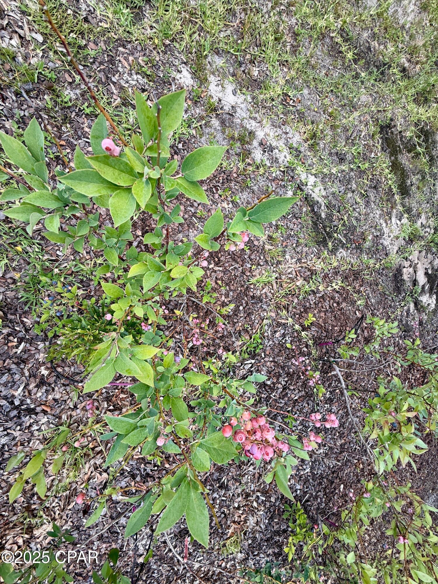 Image 32 For 200 Glades Trail