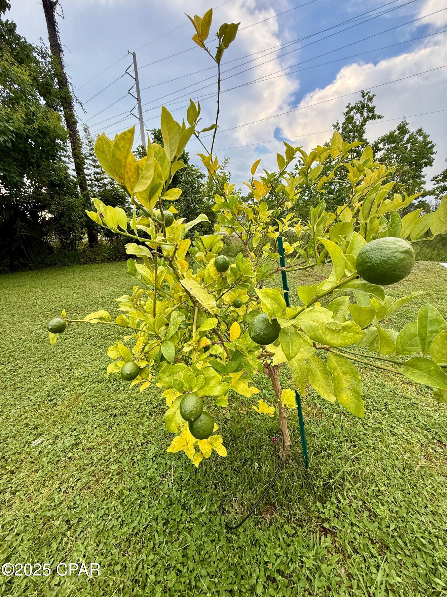 Ehvjbeleo9khzukj6jwpkj8yxohfu3rp3v8xfcl0q9e