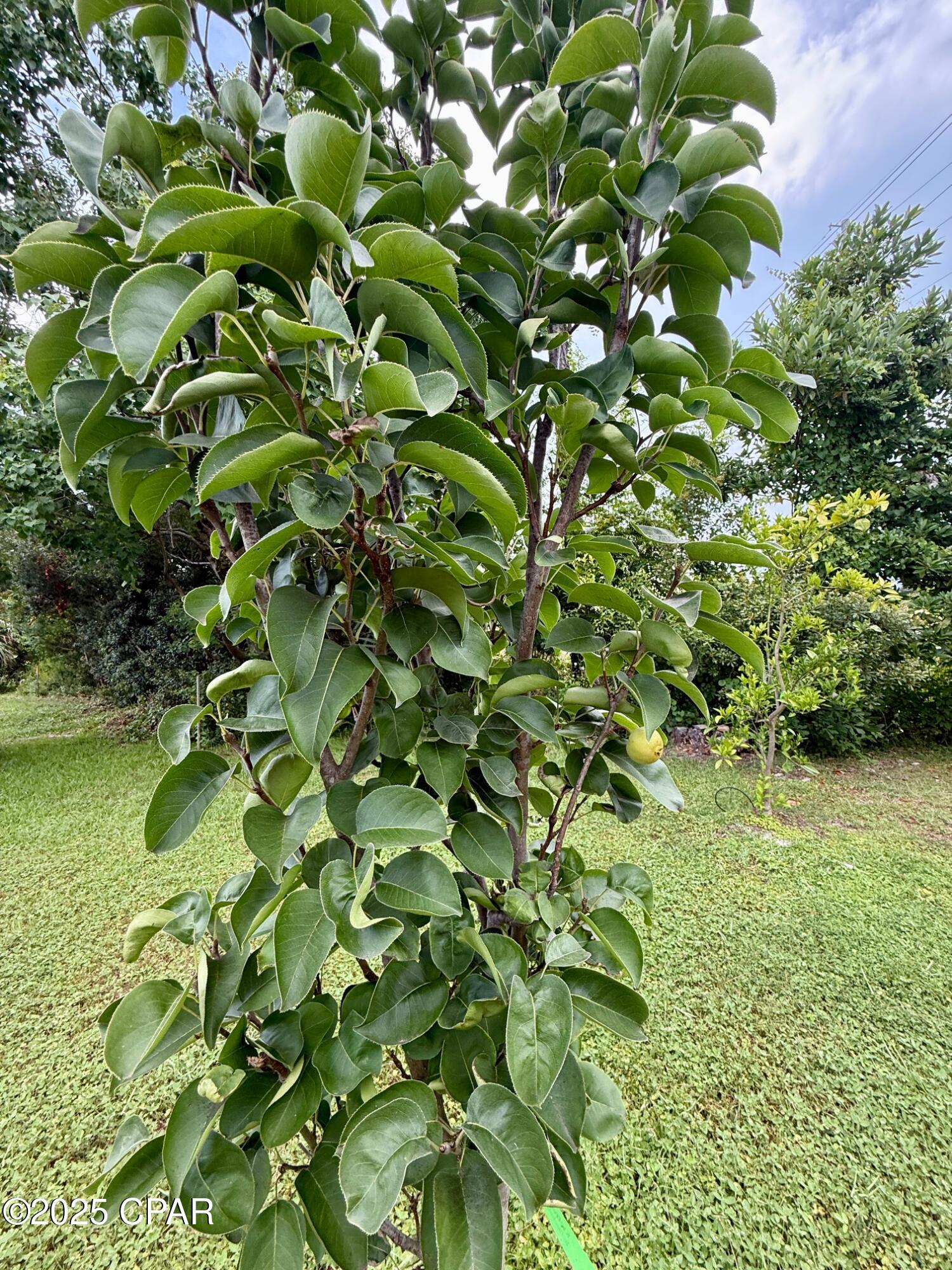 Image 35 For 200 Glades Trail
