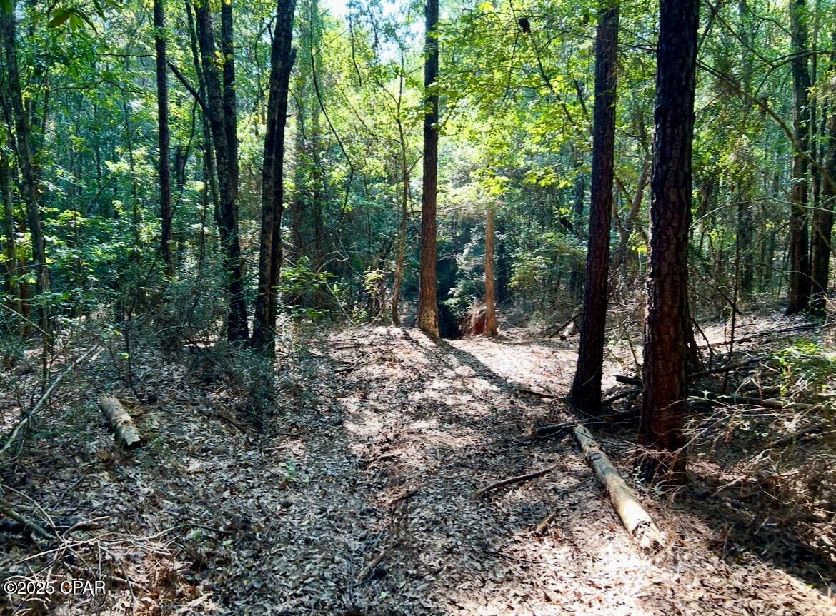 Kljne3dzp23uudjkfvthvblmq7ccpv31nkvr1hxquuw