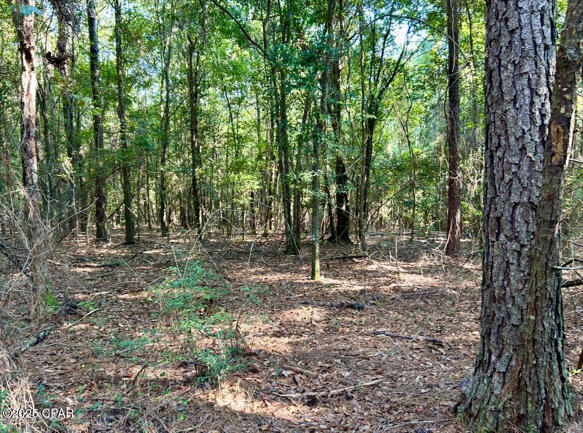 Azbipv4np9msmtgjis_prsnpo Gmp9ymazueg6sn3qo