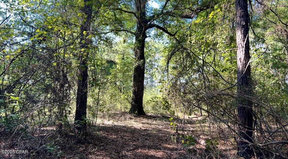 Lq6s7s_rr2rupzeg232cgdixftfaocwsfxcgsfvfase