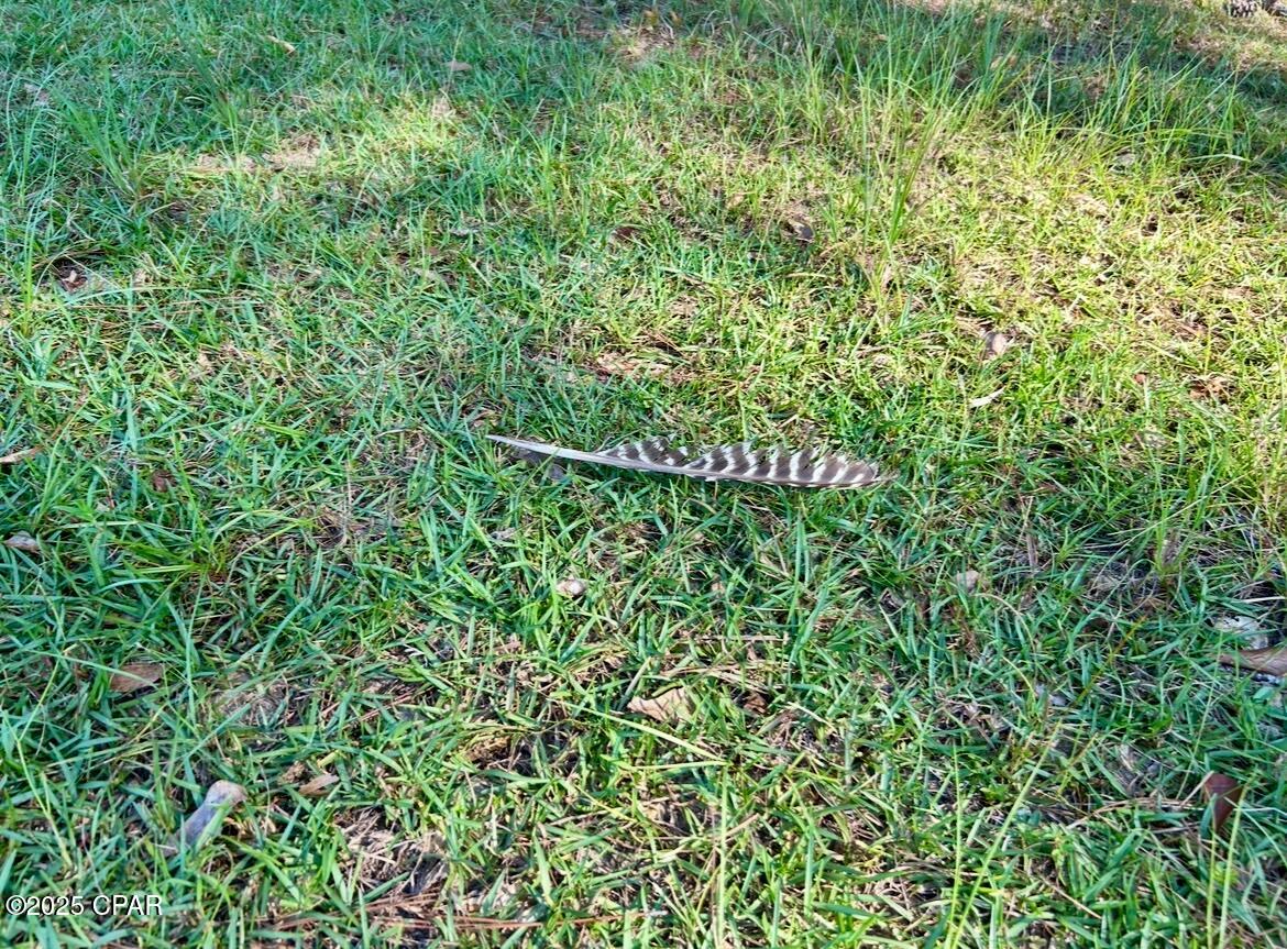  Pktqp5vokxczcfut2d6su74dganwuw1glwojnu4bic