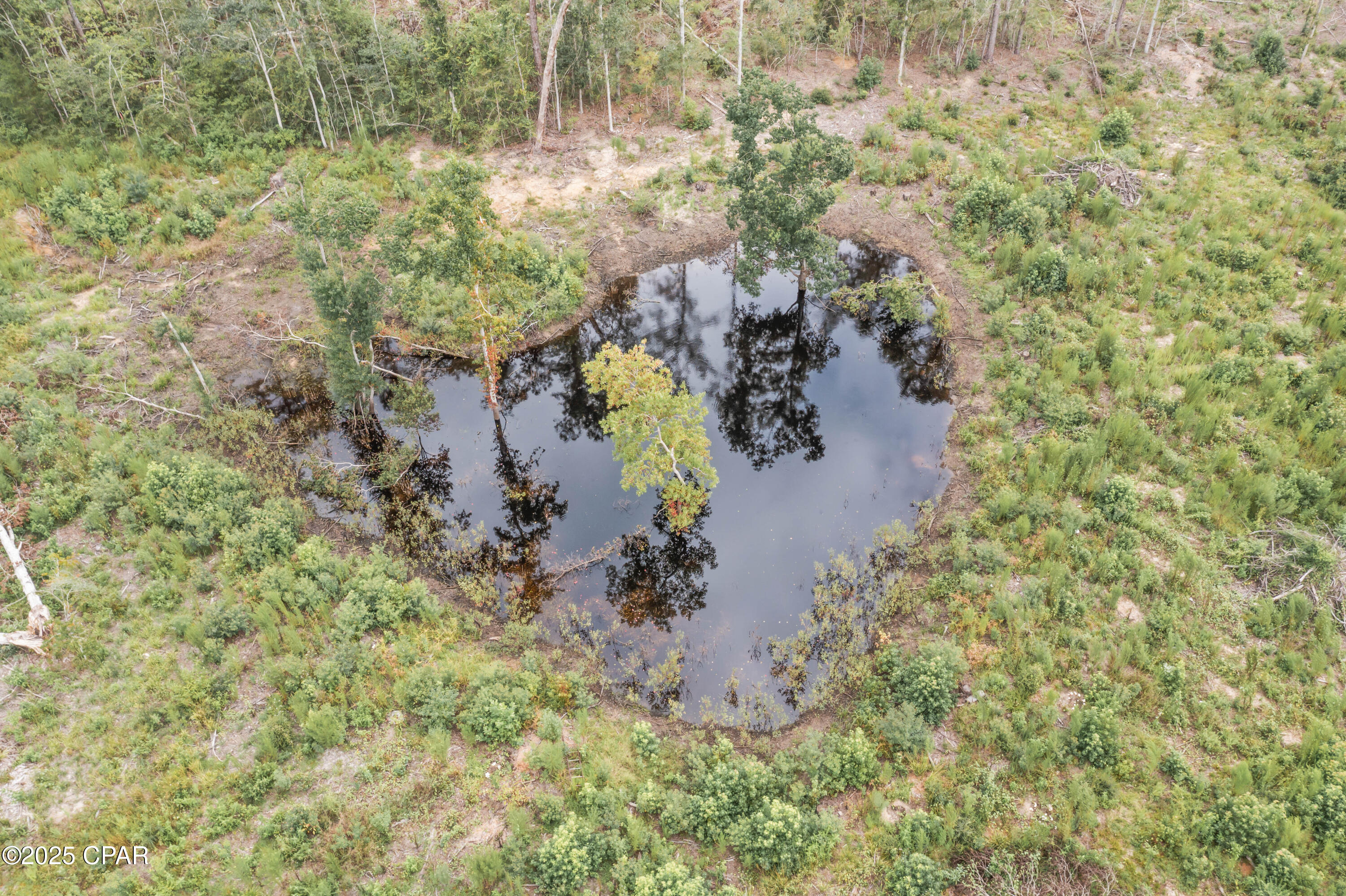 4ytfyd7w4 3cbp_nf2ythrdwysjzlj3uga_osdbt7e4