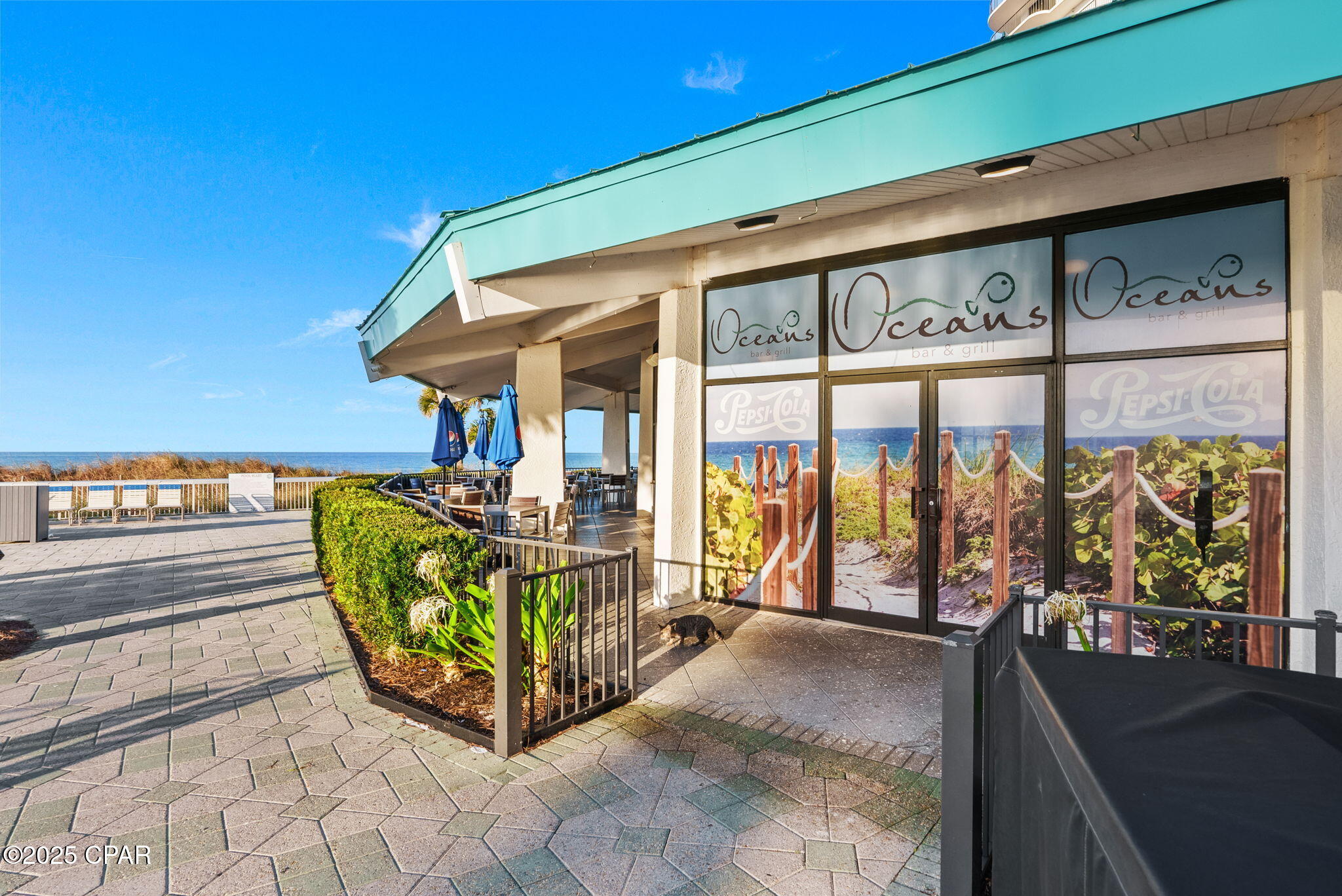 Dw3jbx1zspt9t3riobjw 0aszonninifotpasr1an0g