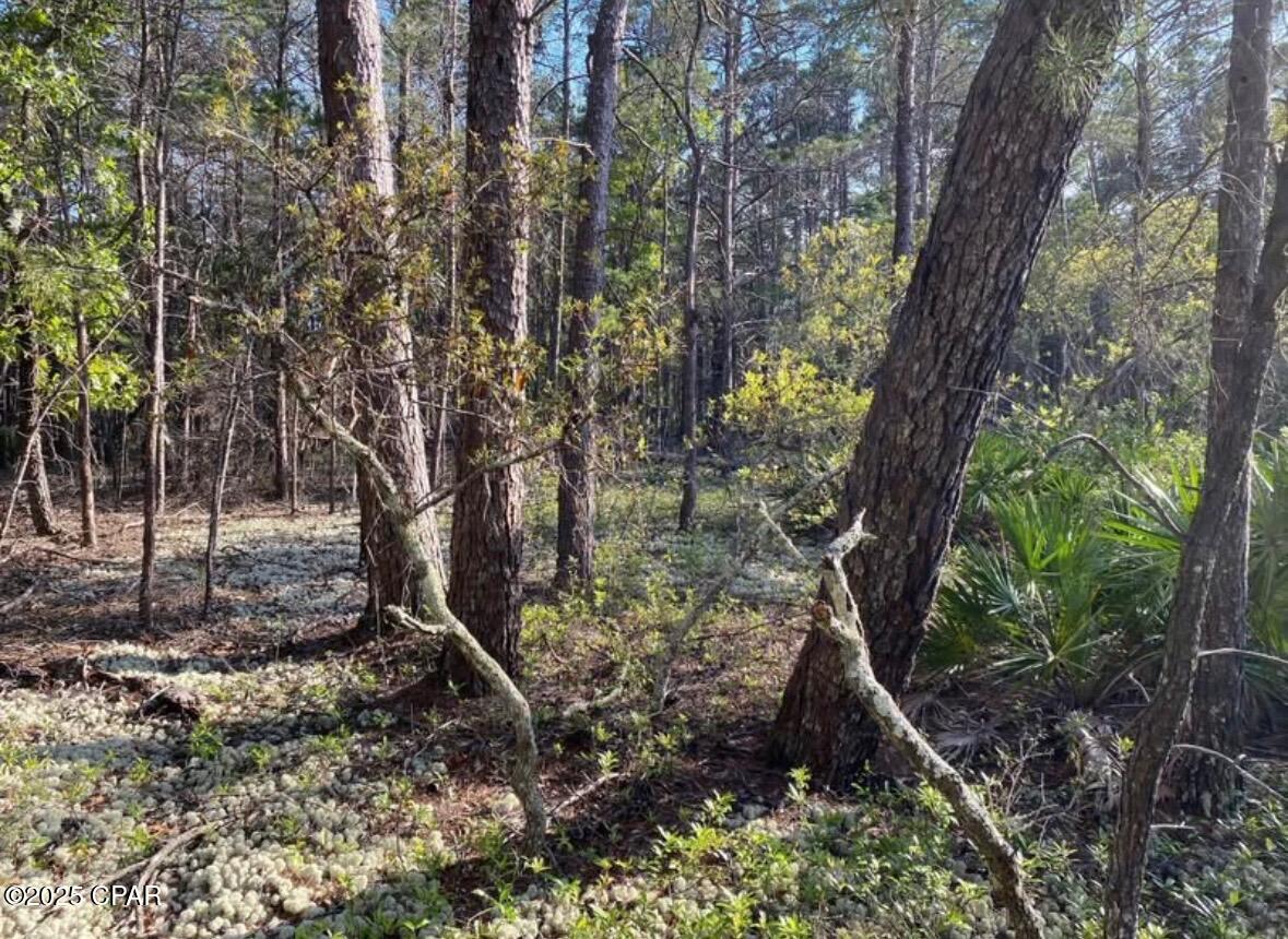 Cyqkyduyjrsyh61ufli9p8gzkds4fr3nvltwtmnlnak