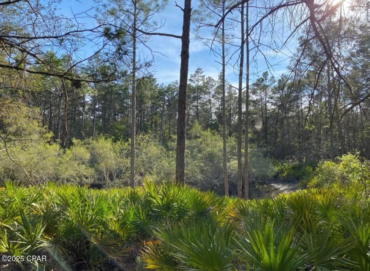 Image 7 For 0 No Street Address 30-2s-17w-7