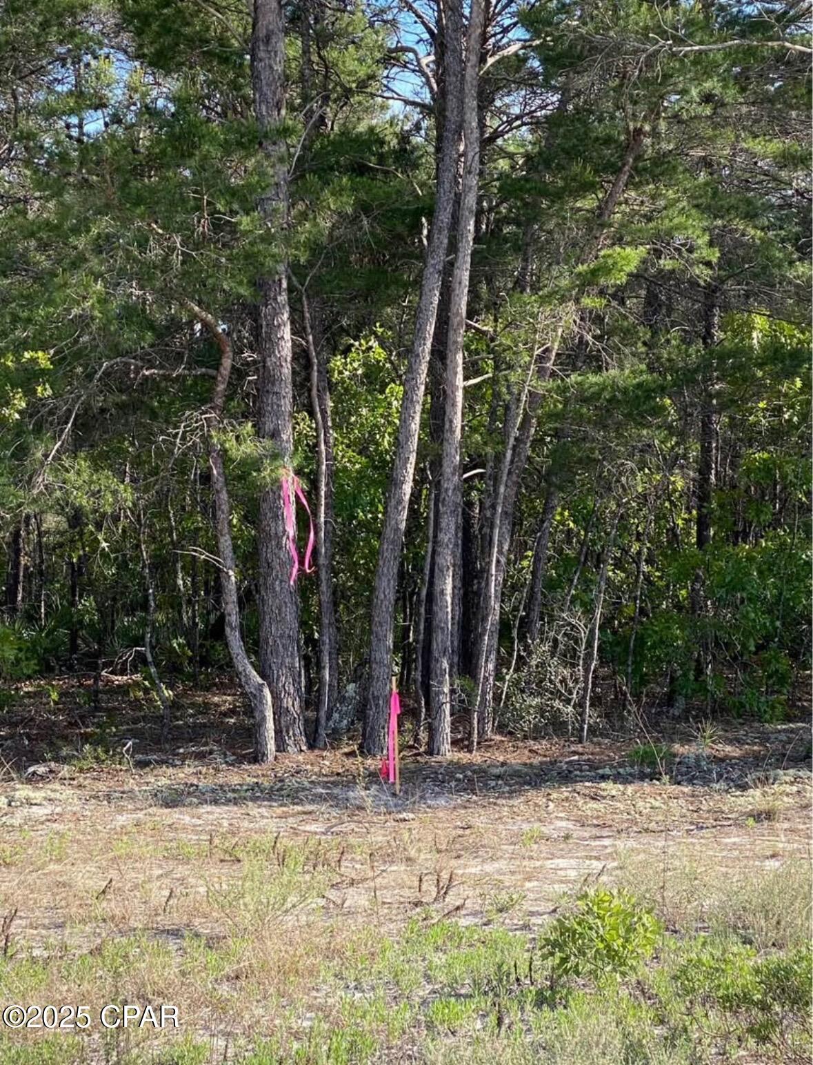 Image 9 For 0 No Street Address 30-2s-17w-7