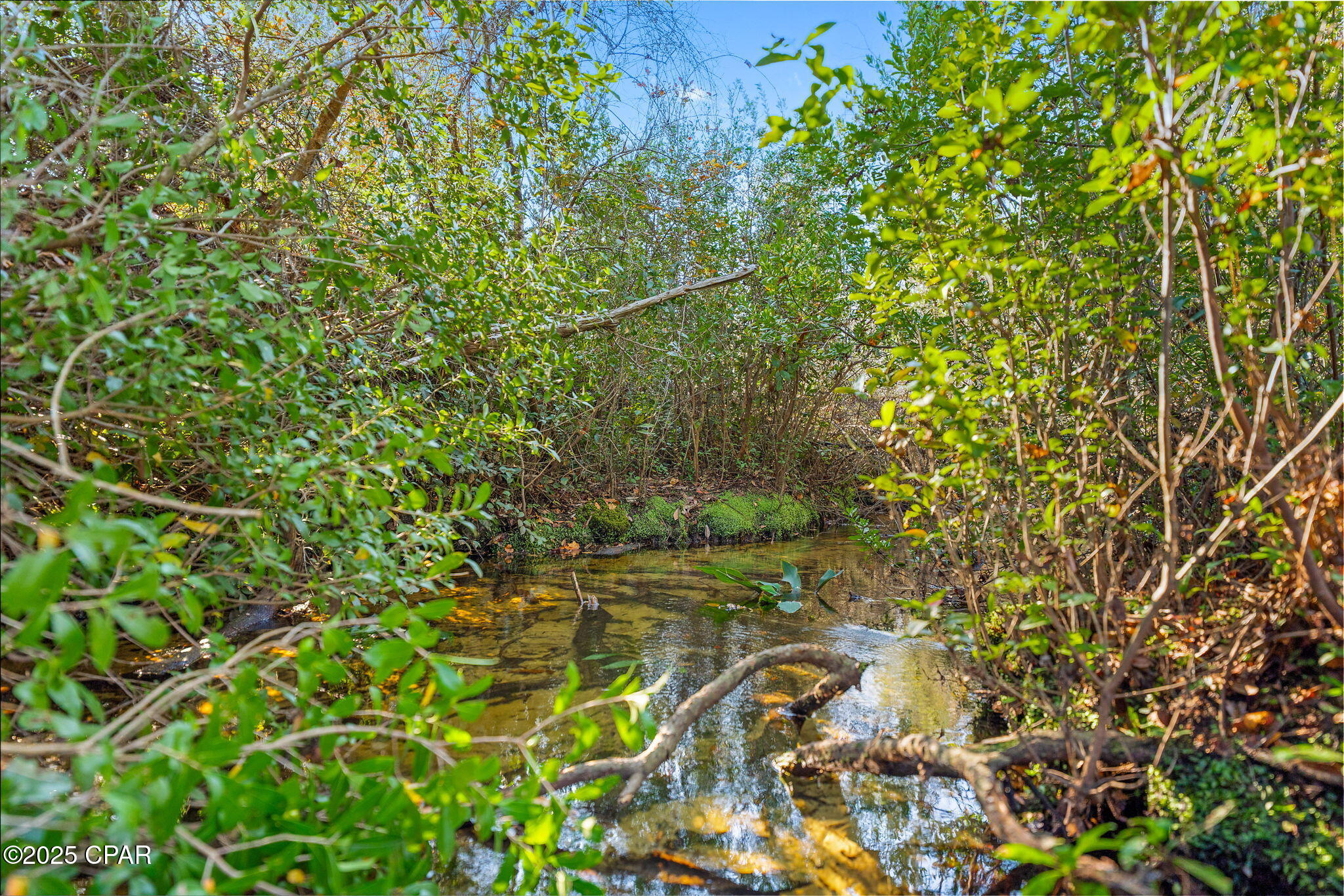 Ja3lztnfasvjfzphjqyqdmpf2819zvqqbjwoc3hnyeo