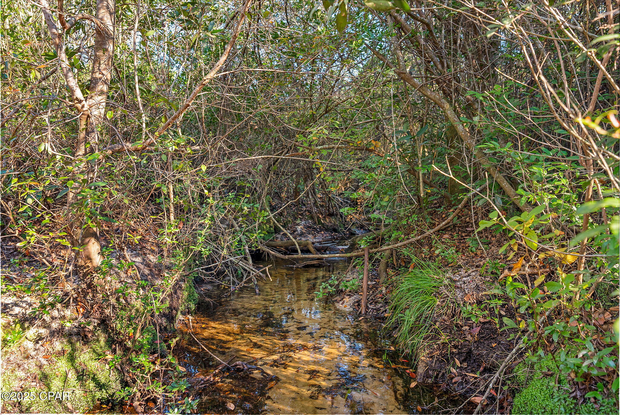 U_m35i3vqexam4lto1zjd3vo5zgeexsduzbdds1cshg