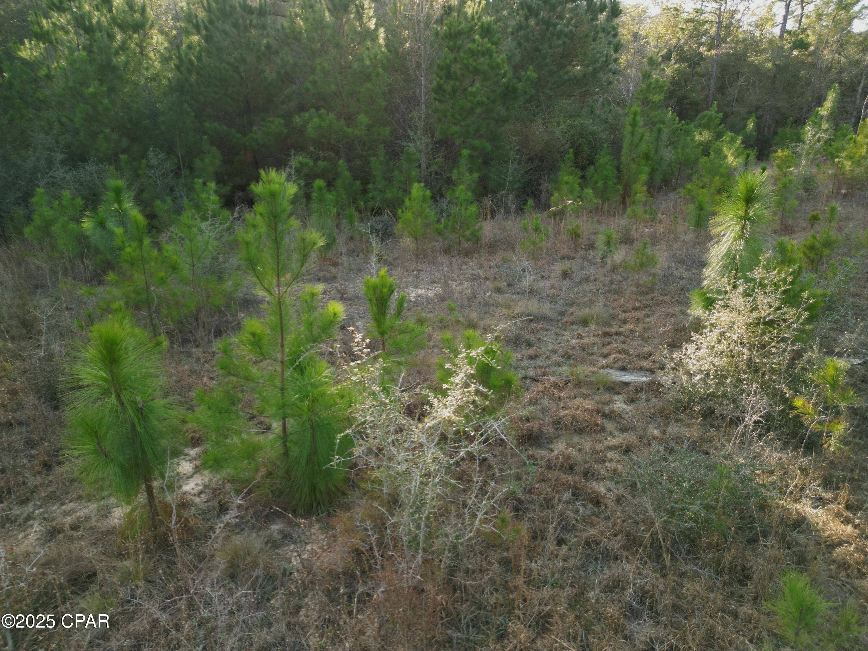 Nylszf0wfzzw6gpjkreubgko02une1riou49xawcgk8