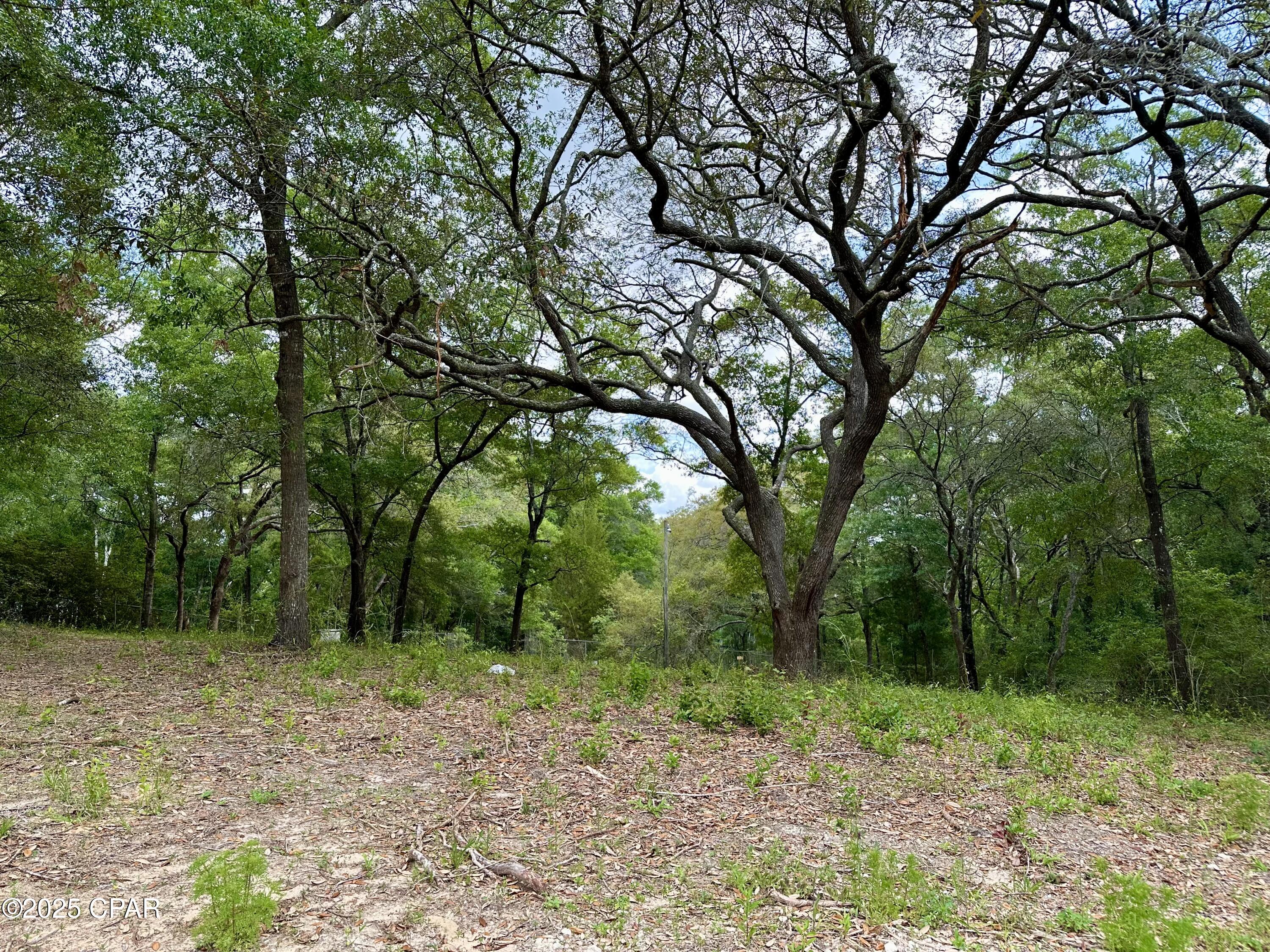 Image 18 For 4661 Moss Hill Road