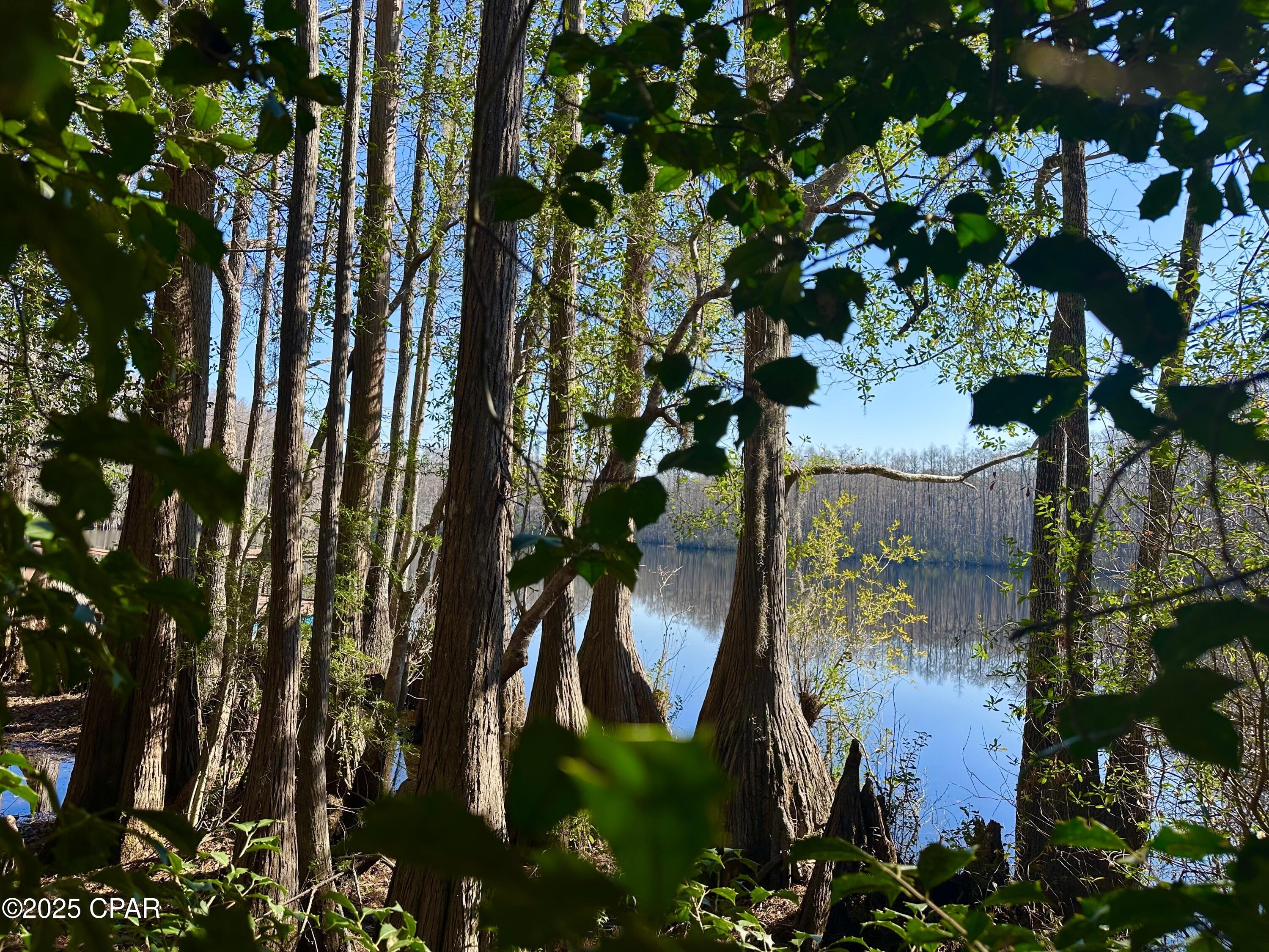 Image 3 For 4661 Moss Hill Road