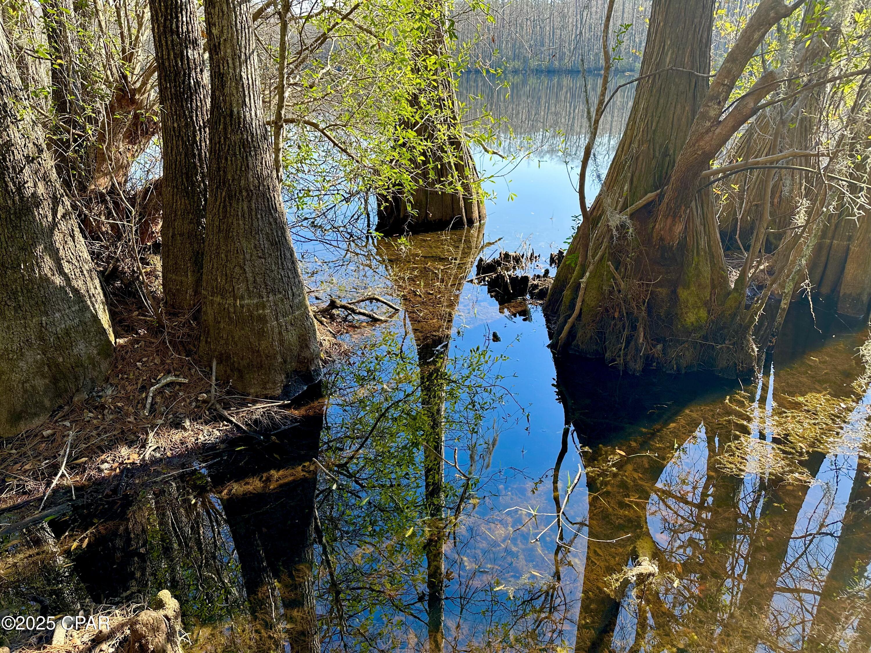 Ellg_fgv57z2pgx2xdpe6avq0vypn4vtgbfelcv_nz0