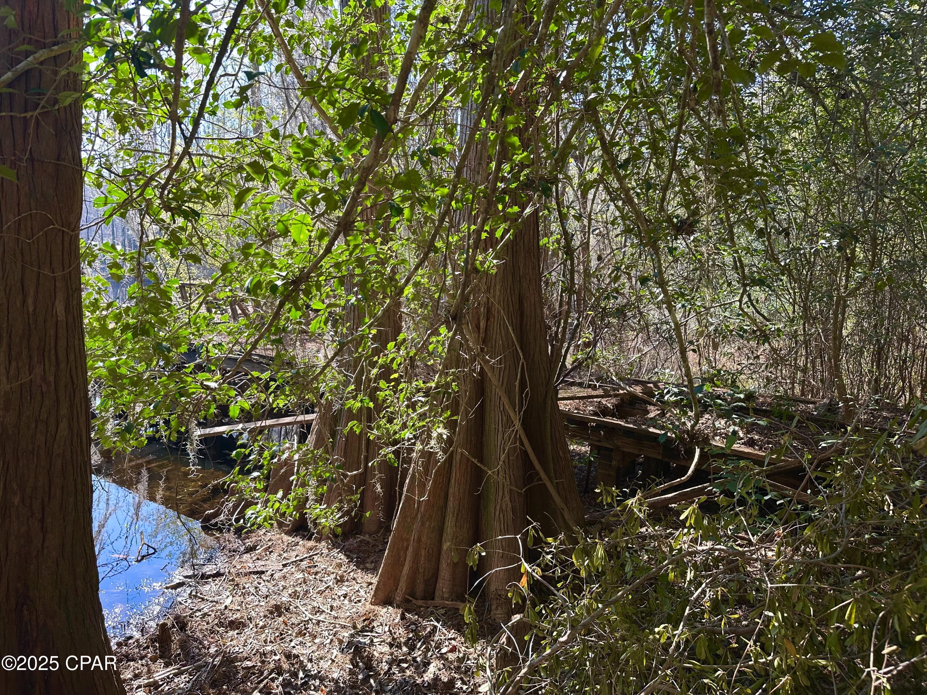 417zquyb_piedolmwly4rj Ymcf306aijaleficel08