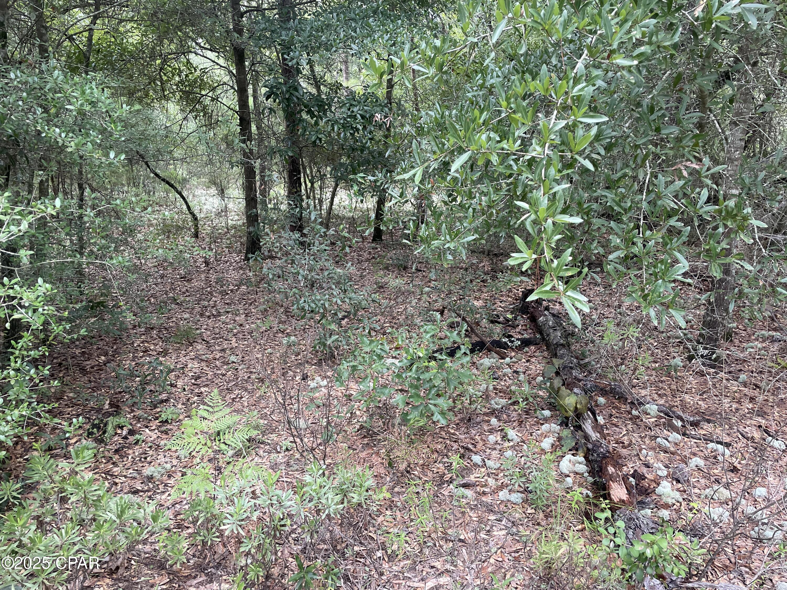 Euvgjroi6zhvco1pvvnurxuslukfewhv5vx8qvrchtm