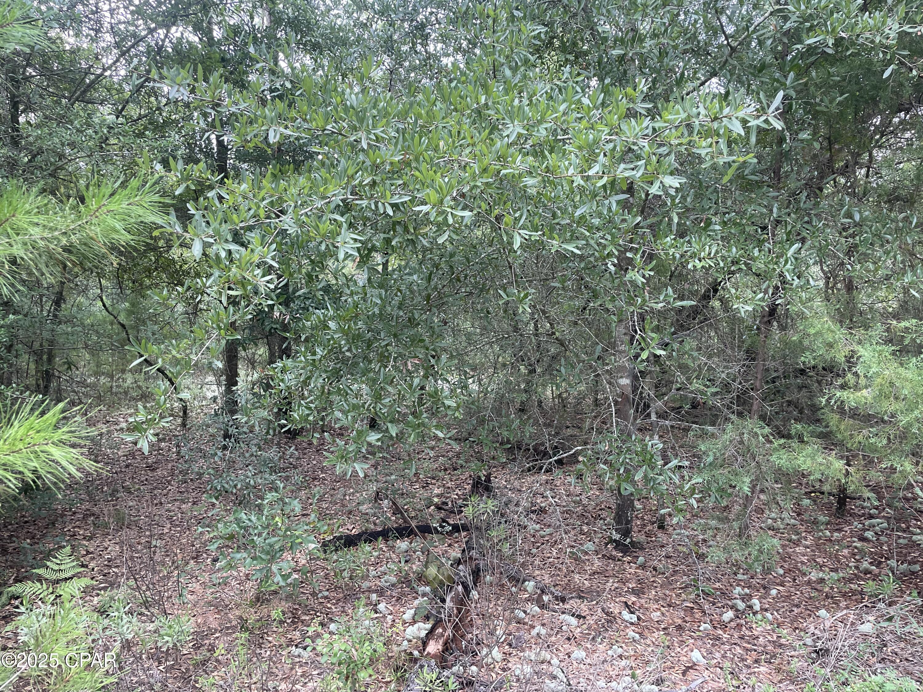 9_tmgvgruiq6y_mpvl02ykxeprds8hb2b7axoadr964