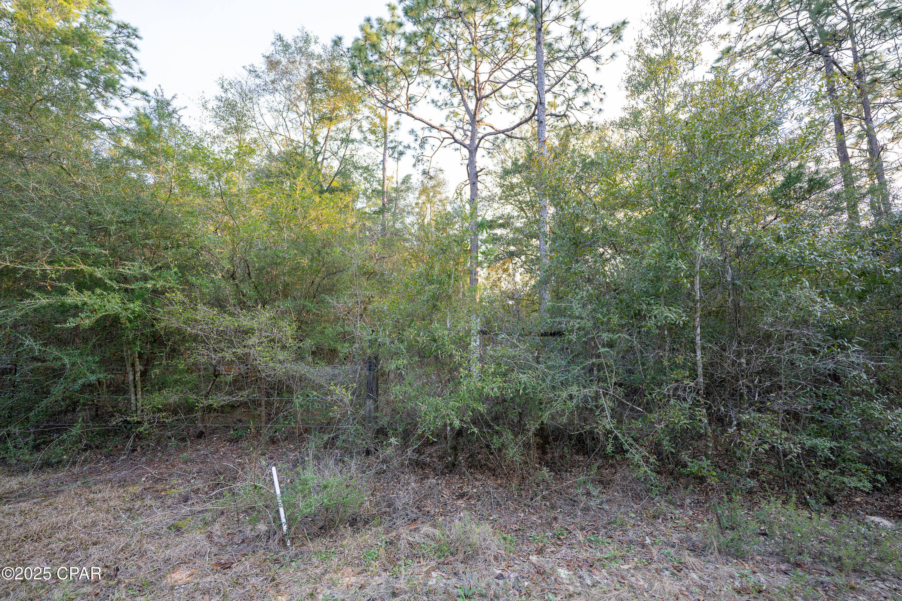 Bm5cwmm Rmd2erbtbcyqsyoqfbcqhkcomqqi3lp4 Ba