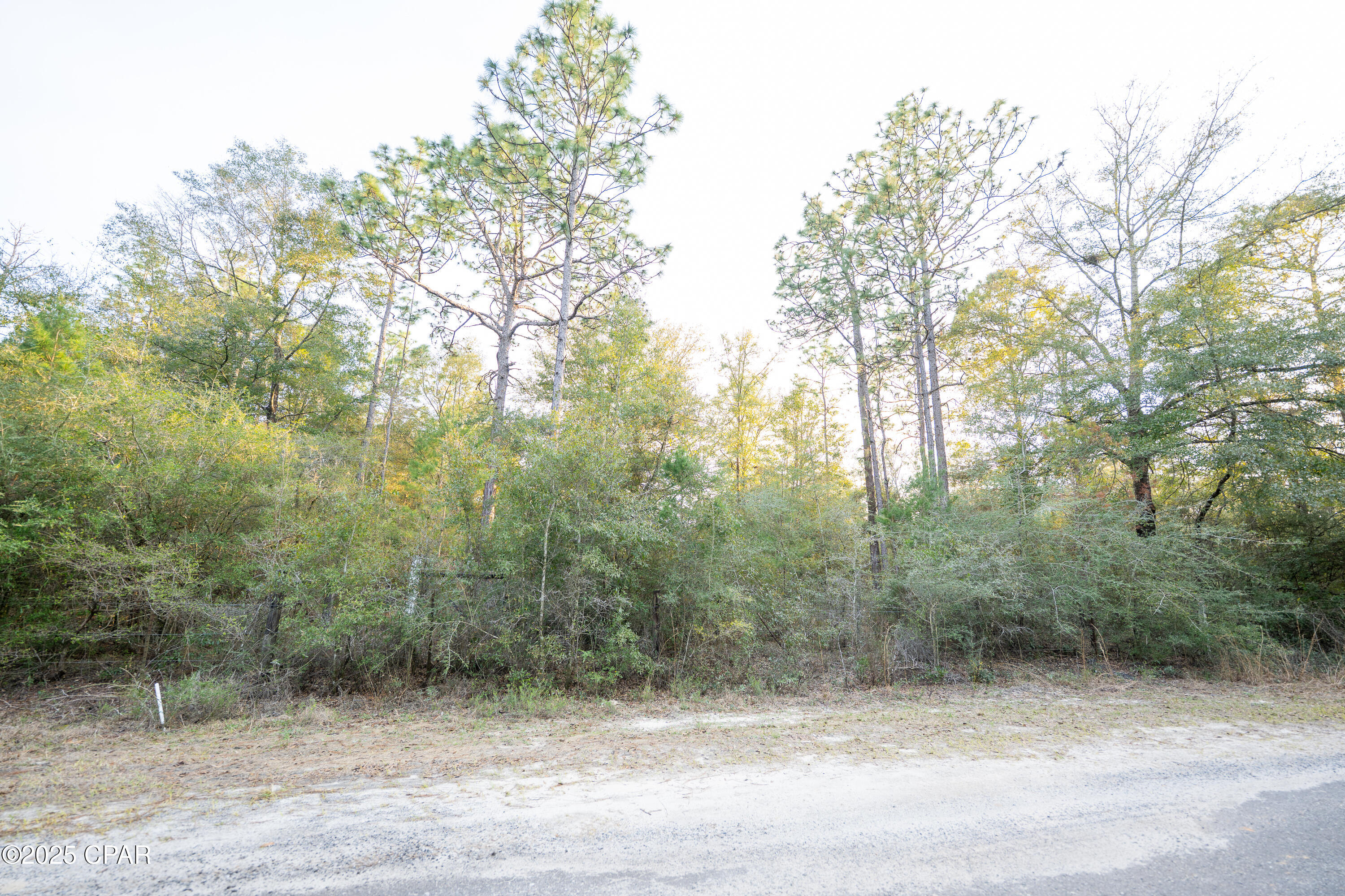 Ne Yflad86slptkd 7ynqrl8grhwhjszofp9csbtils