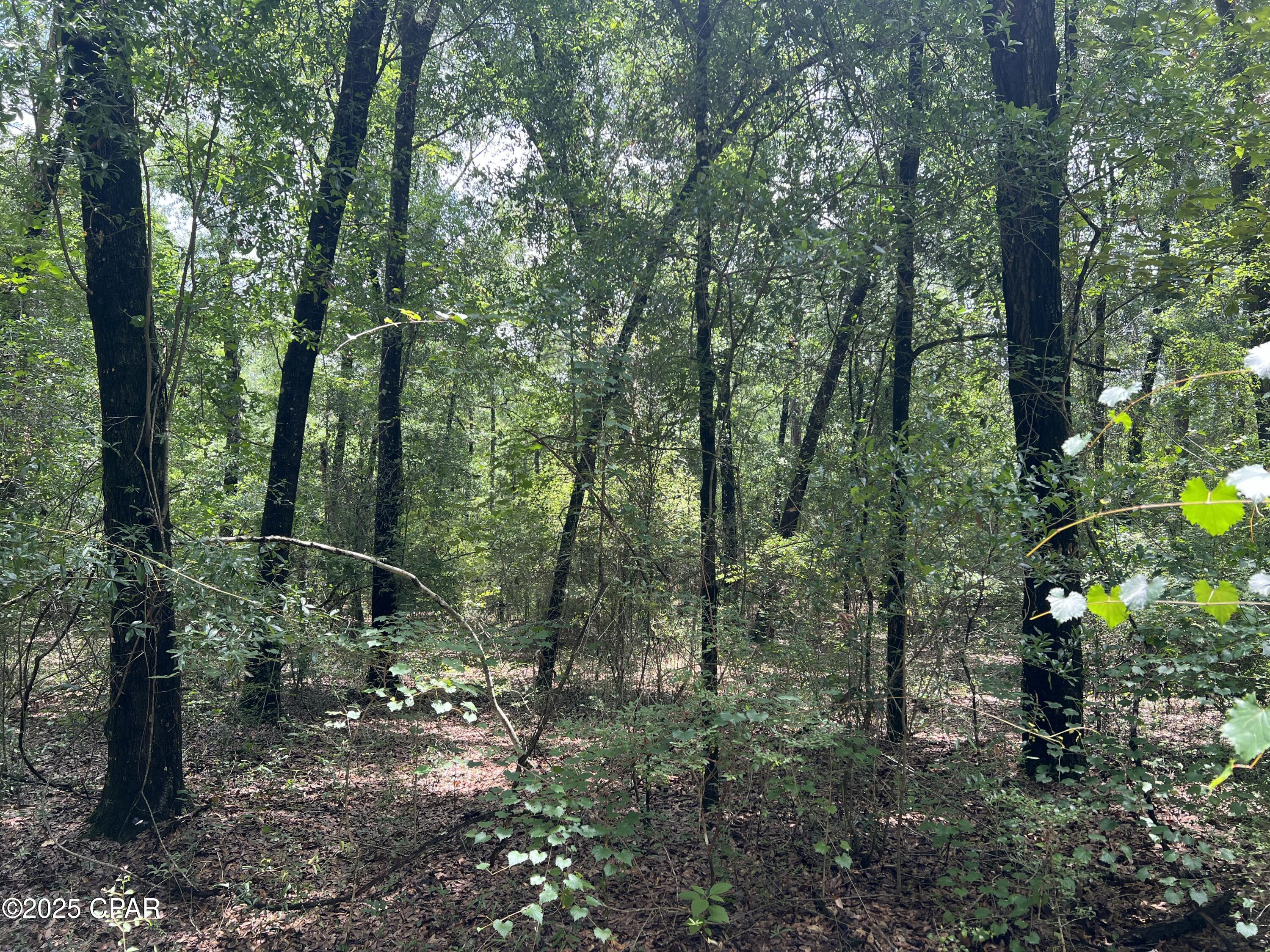 Nkyuahzcaaomwvemhvmakancafrjad57fvq_lgzb9ay