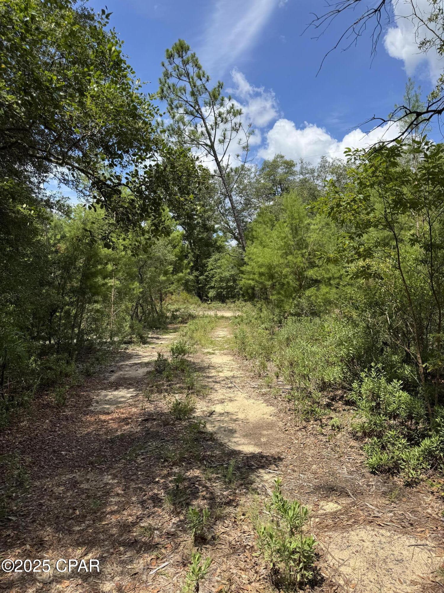 Jv 8ncucizmaa55cmwcl Ugiyv5rlwm Alk5m6lctro