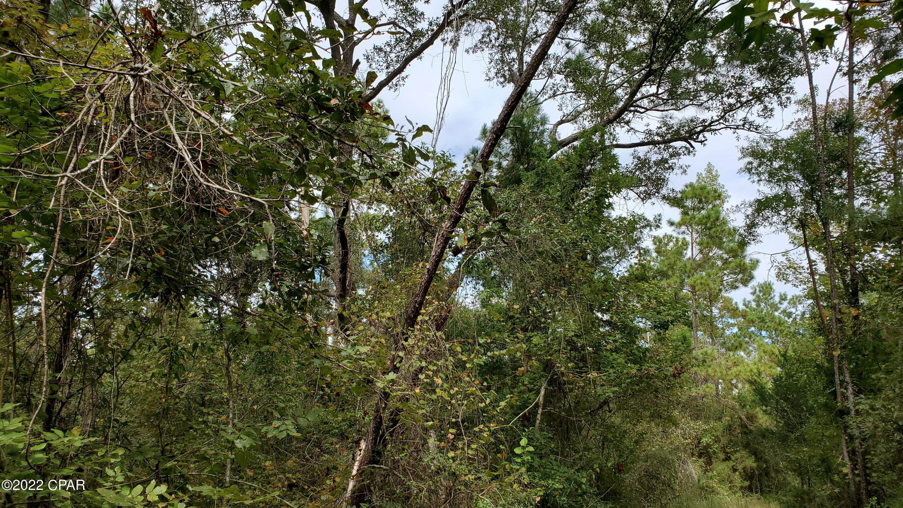 Image 4 For 00 Buttercup Lane