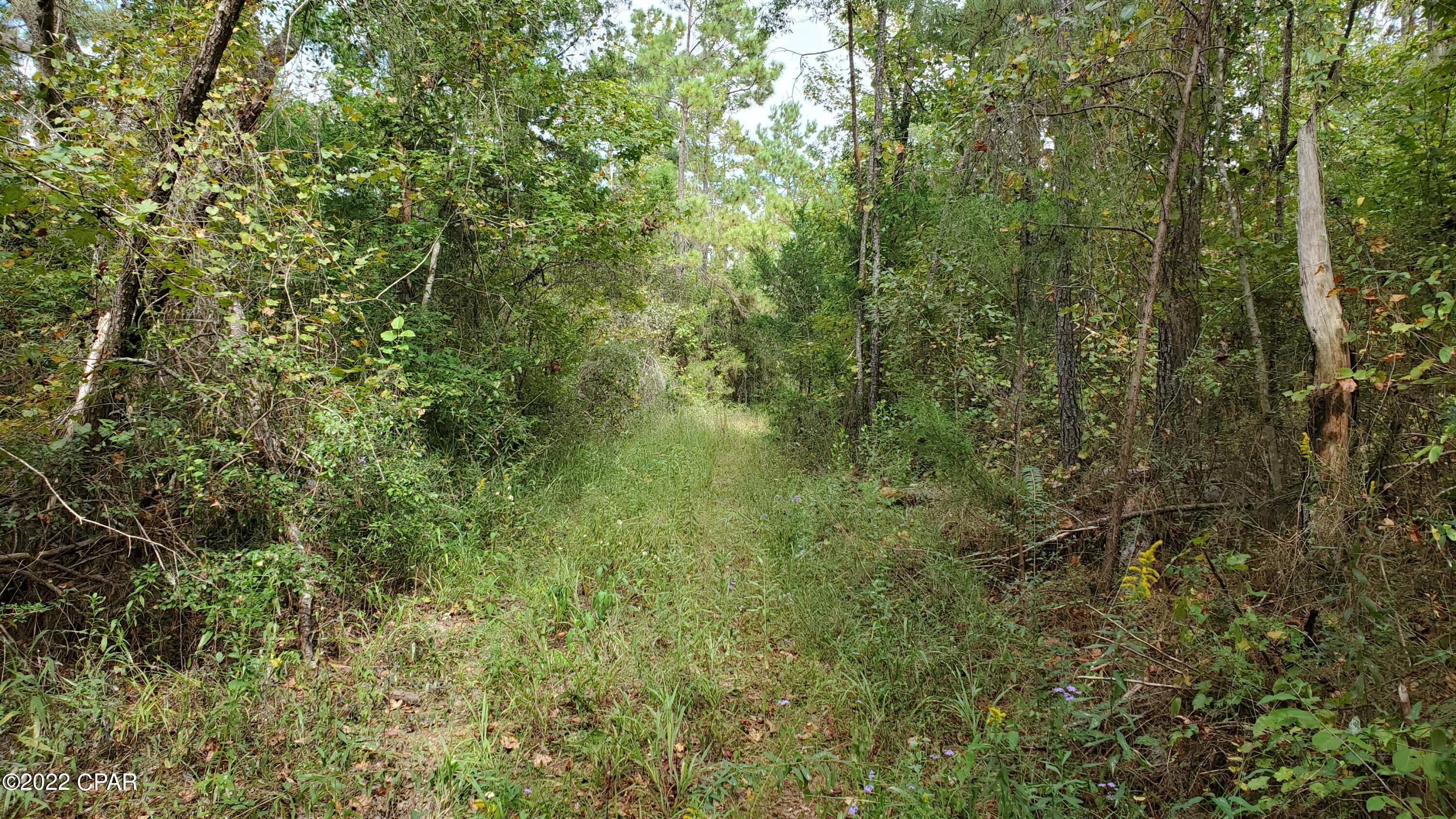 Image 5 For 00 Buttercup Lane