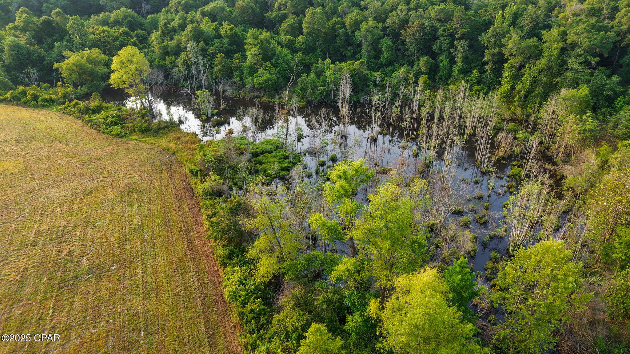 3d6qru_ve0s2ot97r9a0ftmbbk X6ez9inolpc2mqta