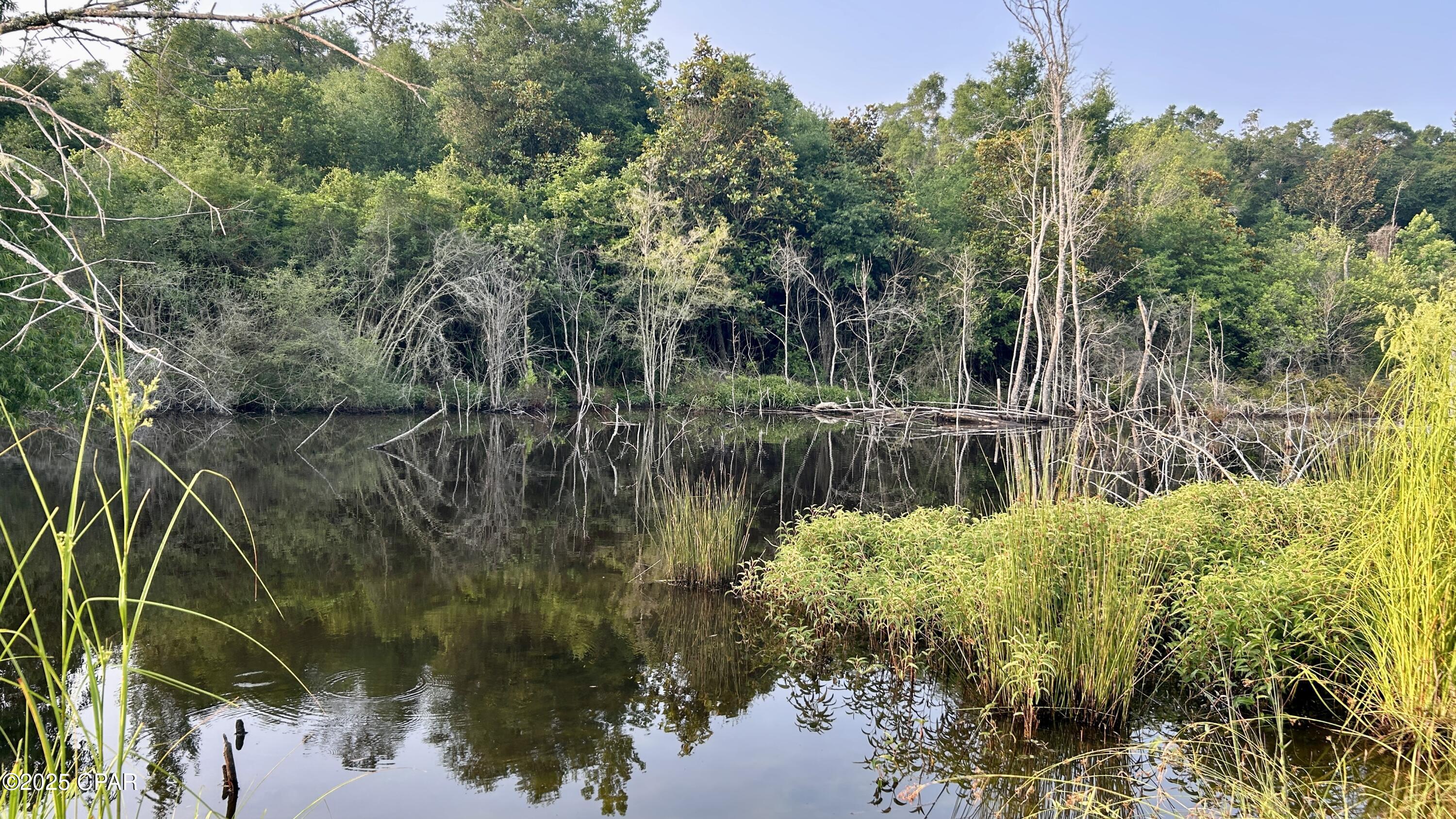 0adeqzma9lu9 Z1vx0ufzteza2msrmpg20xhksujgoo