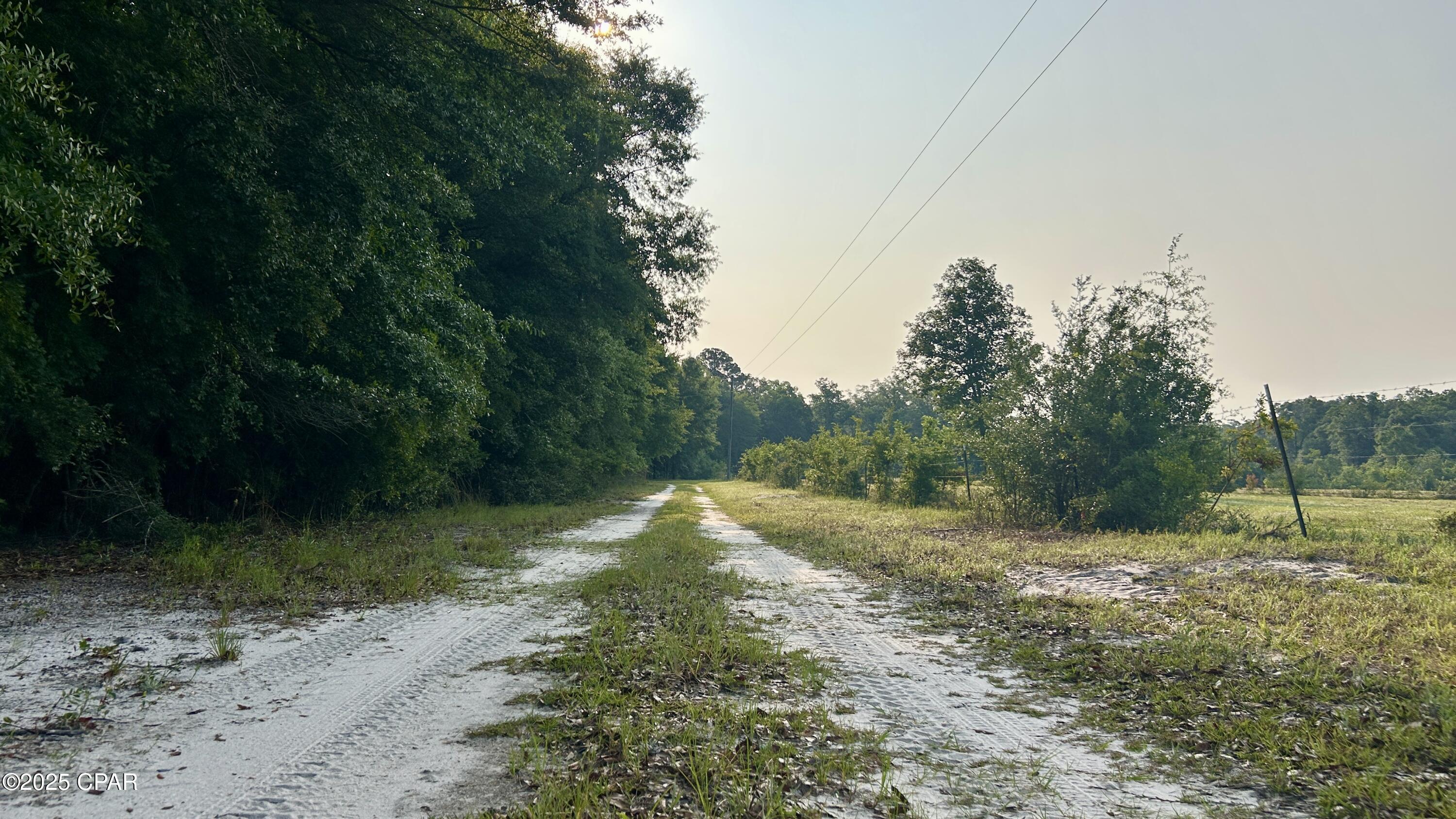 Snm4yrgo8_aszs0t7t25dbrumenolsifxalaocryrgo