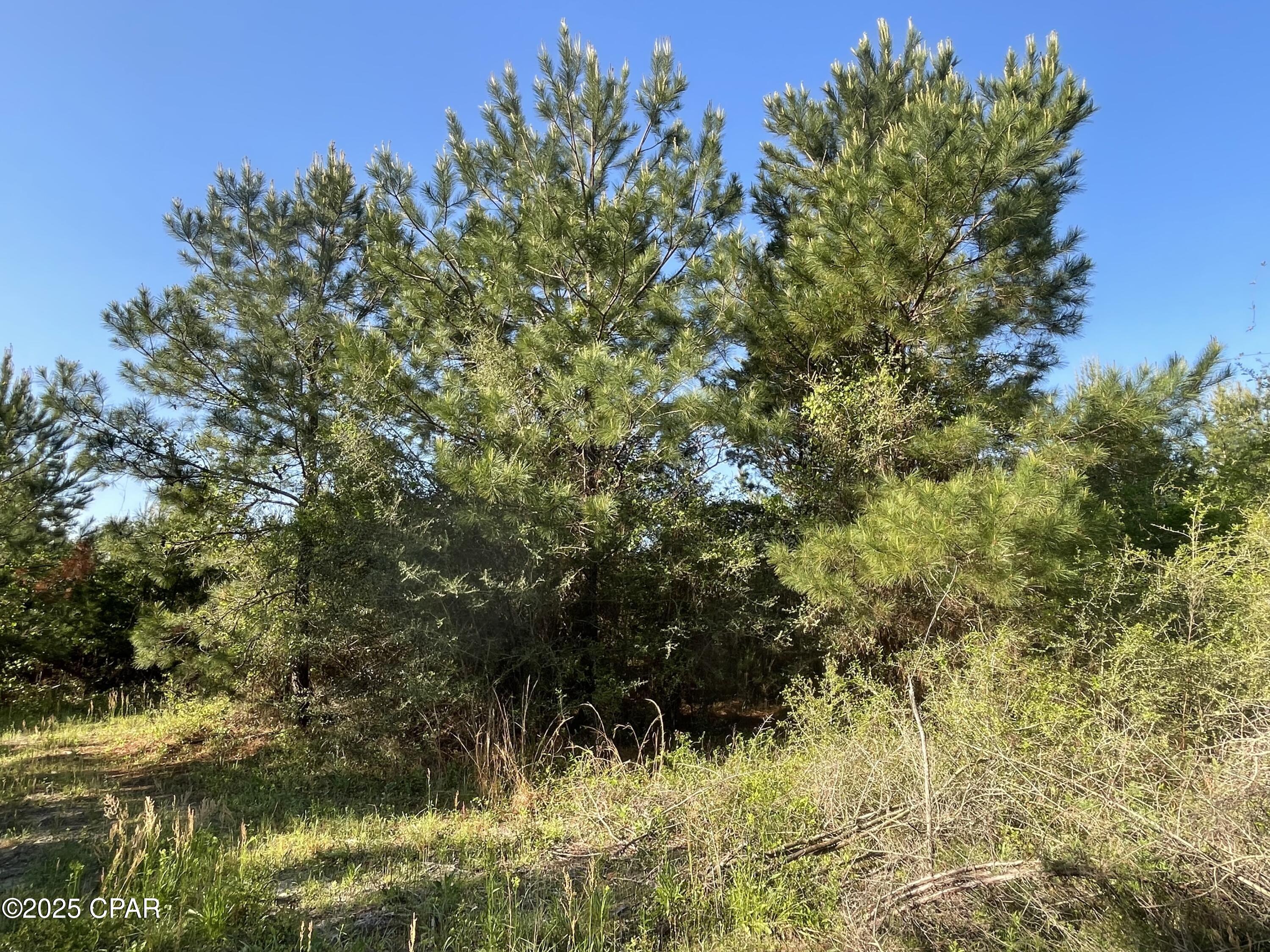 1tgsczn6vefeygquhoshr98qlex4zb0bbqopiim0jnc