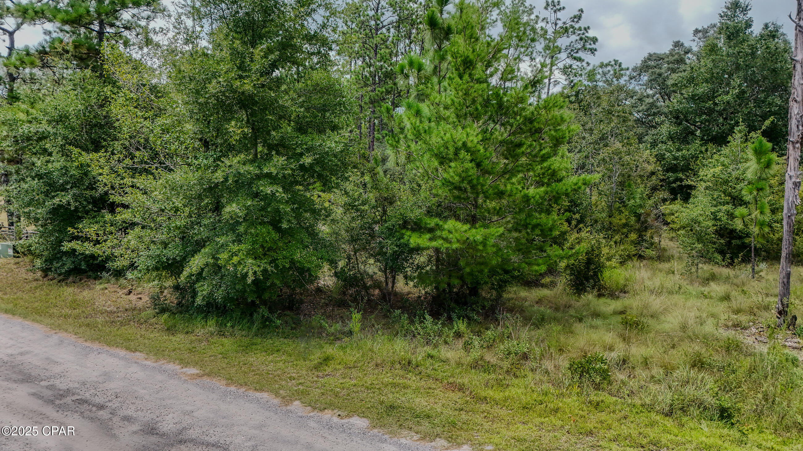 Myxplotanqza2fj7 T2ne_g3xlvhjtugiryop7fzrws