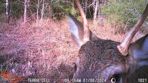 Vxcrom8x4oed Udcd46xc9ibcp_o_fewogpyi6ibim4